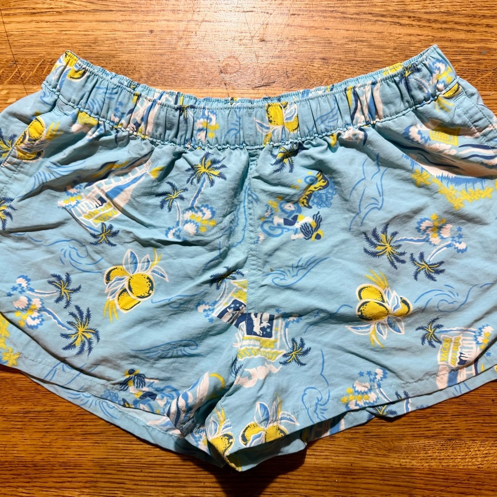 Patagonia Barely Baggies Shorts – Women’s Large – GUC